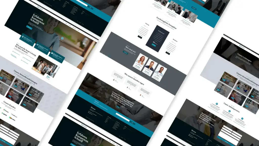 Webdesign Neckar Odenwald Kreis - Steuer Musterwebsite
